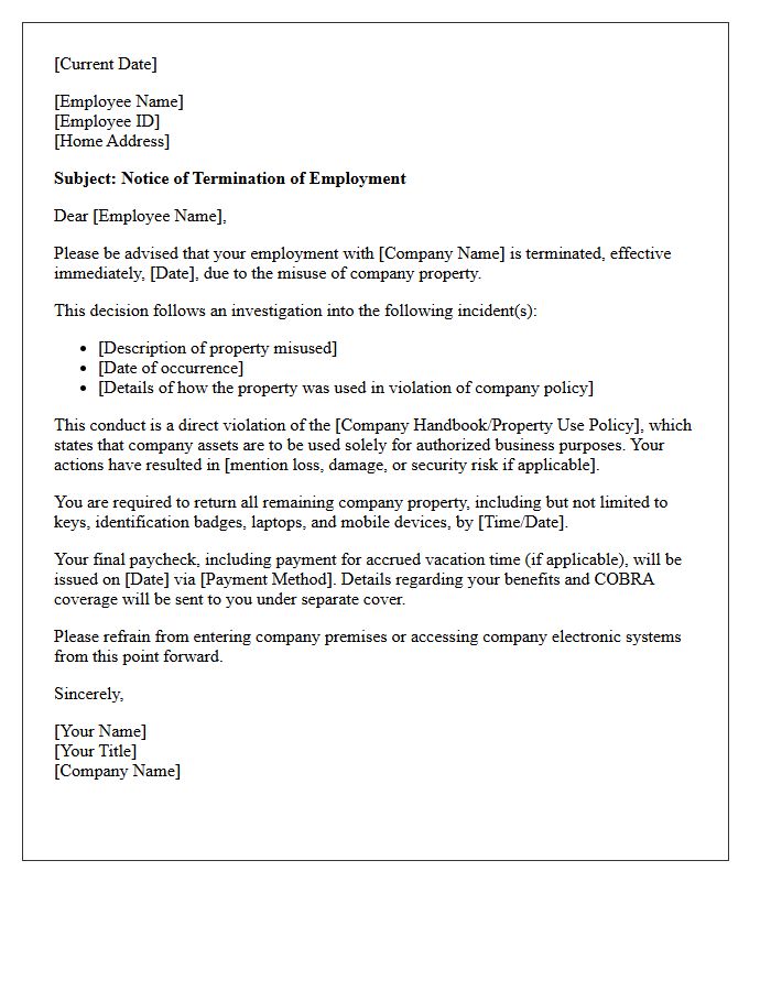 Termination Letter for Misuse of Company Property