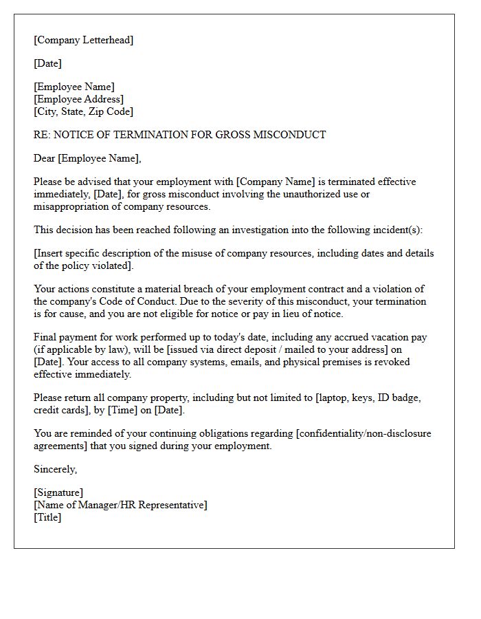 Termination Letter for Gross Misconduct Involving Company Resources