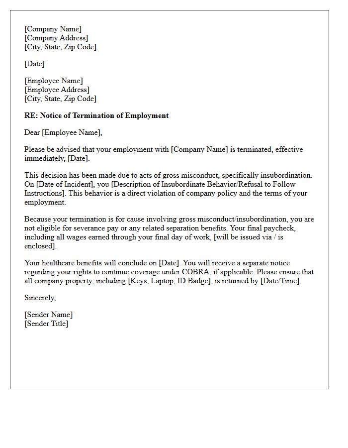 Insubordination Termination And Severance Ineligibility Letter