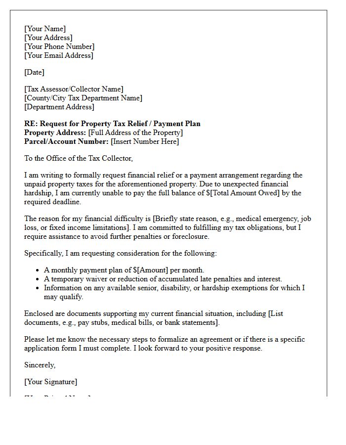 Unpaid Property Tax Burden Relief Letter