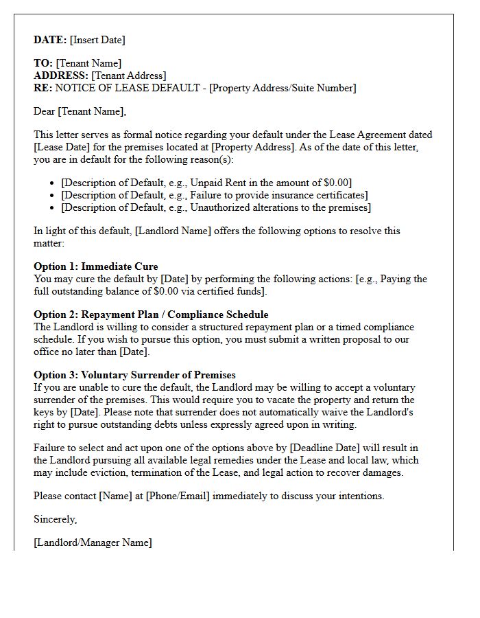 Commercial Lease Default Options Letter
