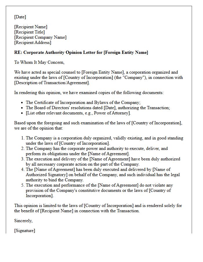 Foreign Entity Corporate Authority Opinion Letter