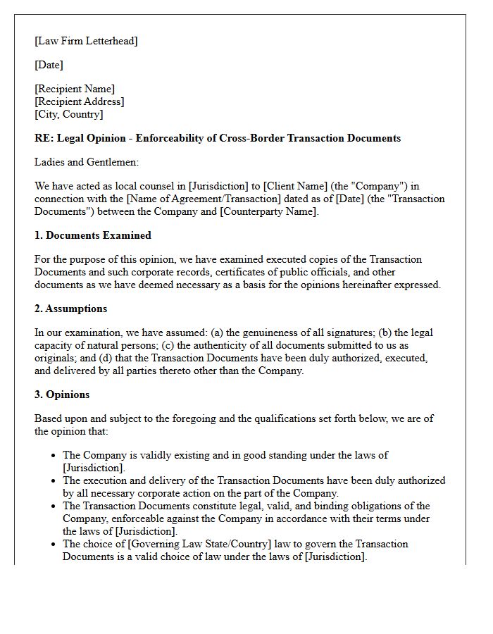 Cross-Border Transaction Enforceability Opinion Letter