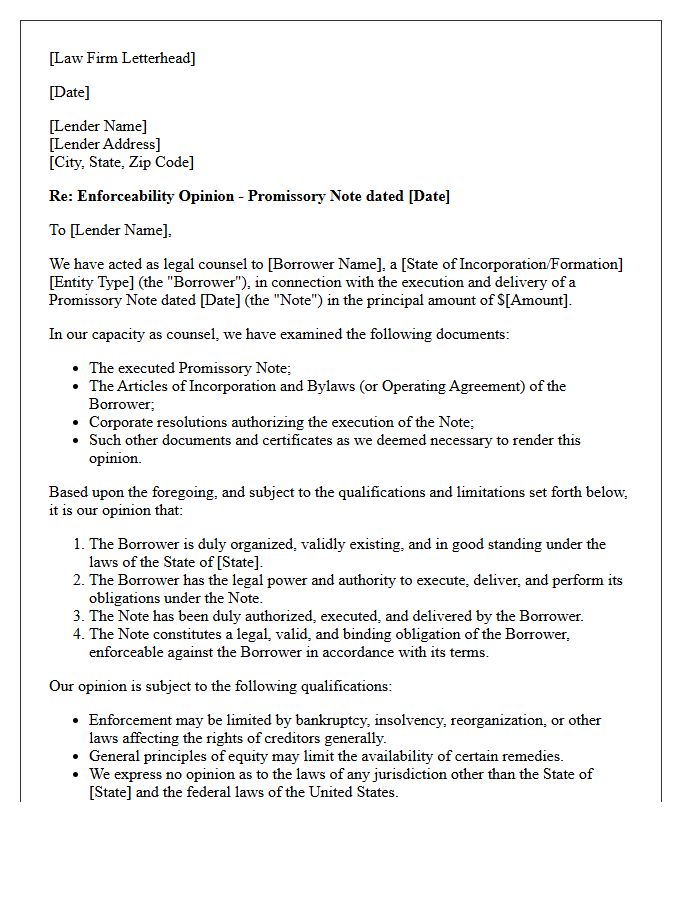 Promissory Note Enforceability Opinion Letter