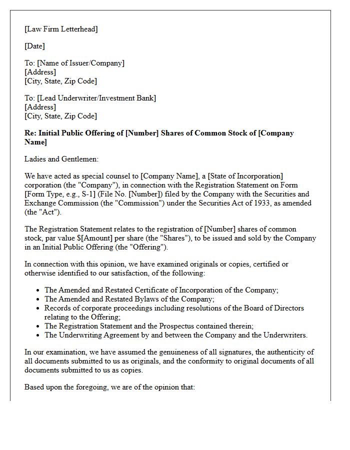 Initial Public Offering Share Issuance Opinion Letter