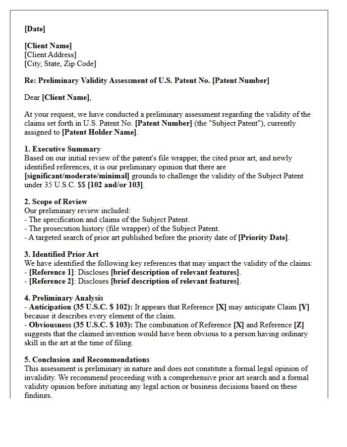 Preliminary Patent Validity Assessment Letter