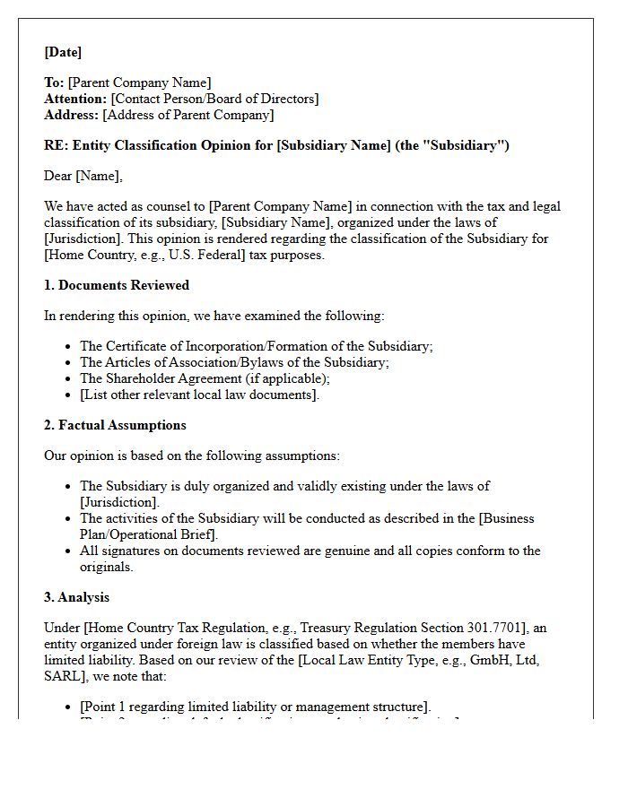 Cross-Border Subsidiary Entity Classification Opinion Letter