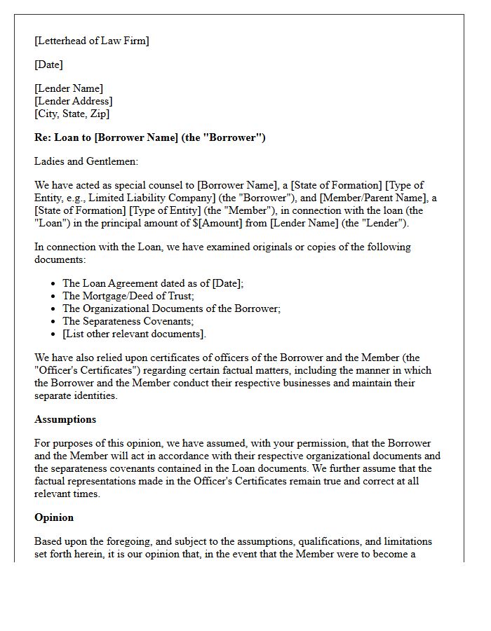 Substantive Non-Consolidation Opinion Letter