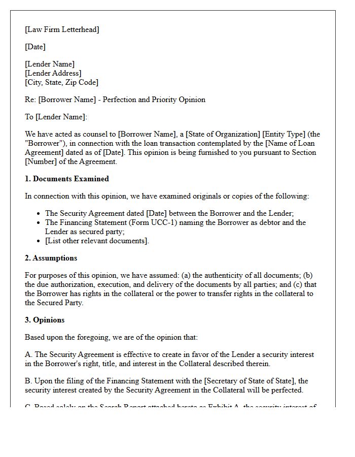 Perfection and Priority Opinion Letter