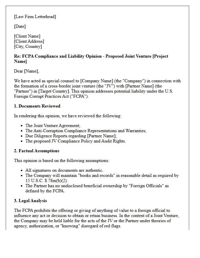 Cross-Border Joint Venture FCPA Liability Opinion Letter