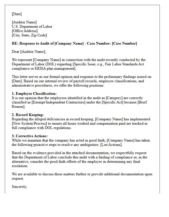 Department Of Labor Audit Response Opinion Letter