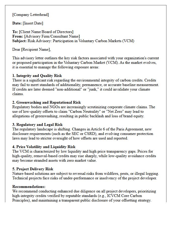 Voluntary Carbon Market Risk Advisory Letter