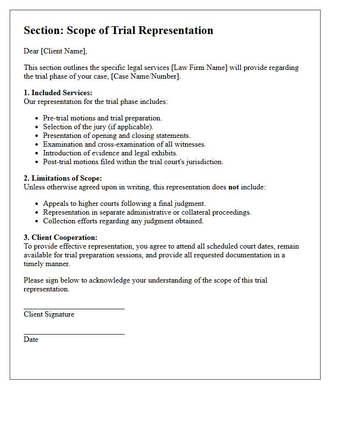 Scope of Trial Representation Letter Section