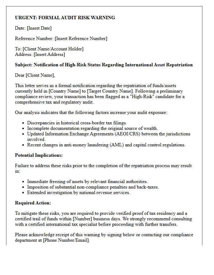 International Asset Repatriation Audit Risk Warning Letter