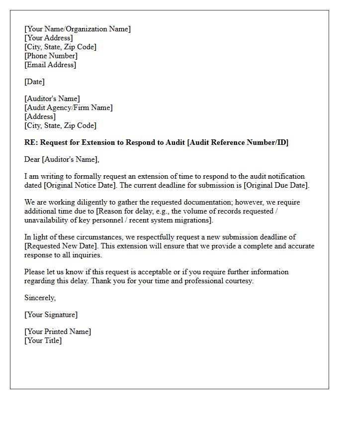 Audit Response Deadline Extension Request Letter