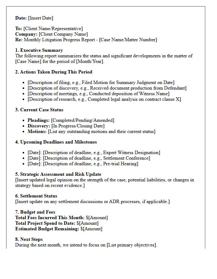 Commercial Dispute Monthly Litigation Progress Report Letter