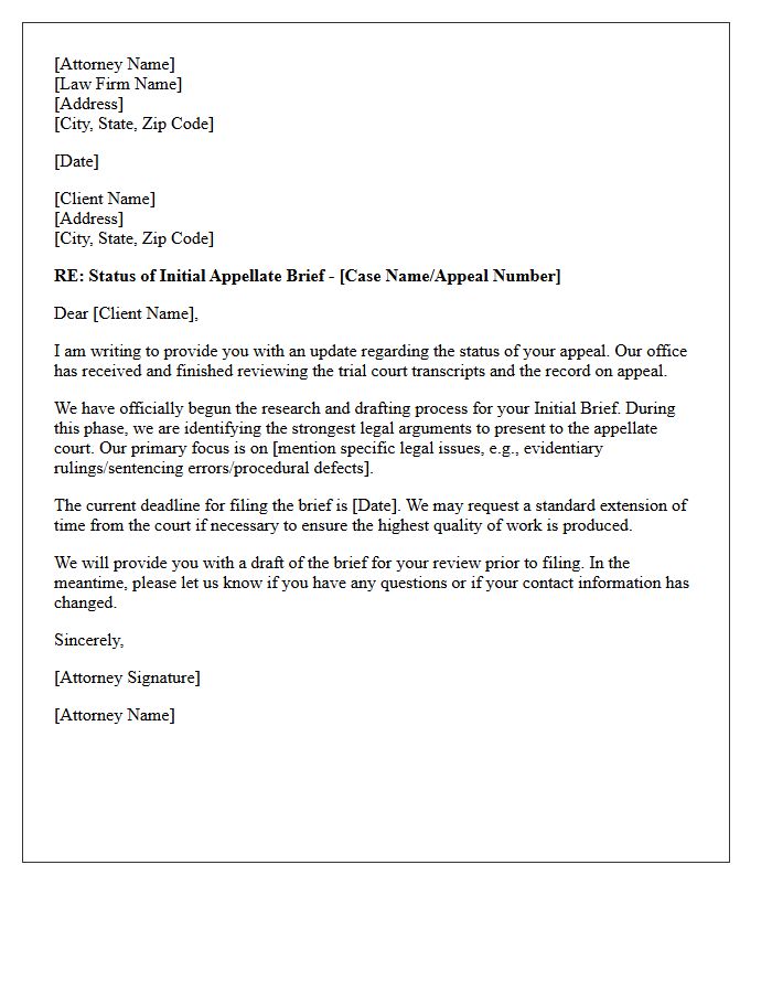Initial Appellate Brief Drafting Status Letter