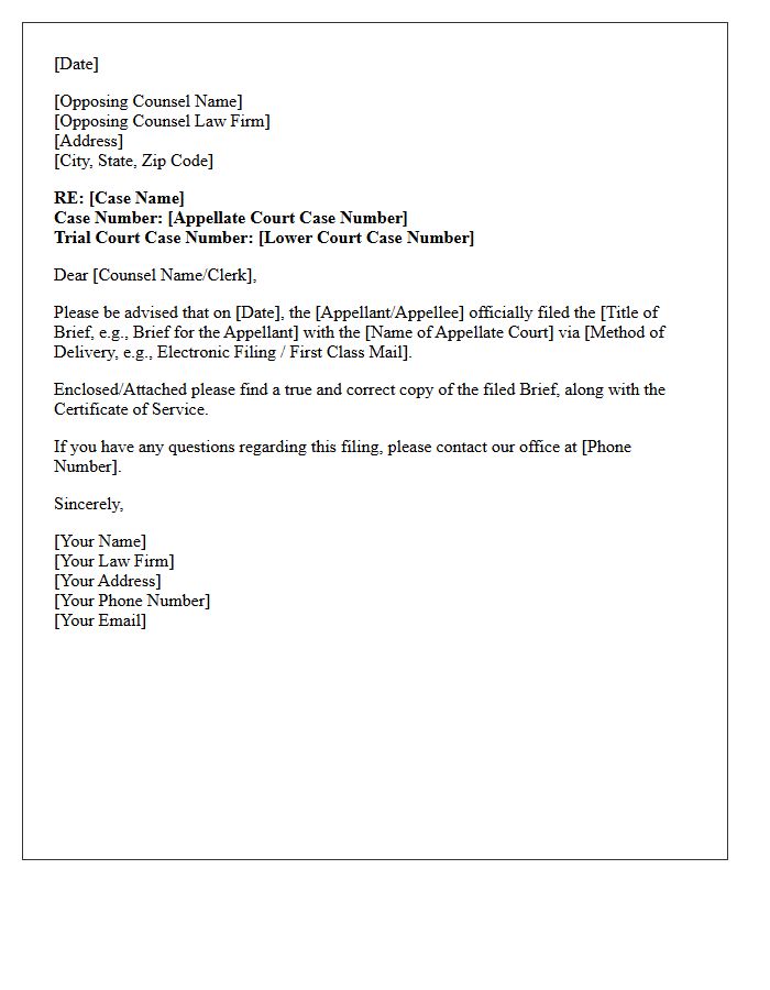 Appellate Brief Court Filing Confirmation Letter