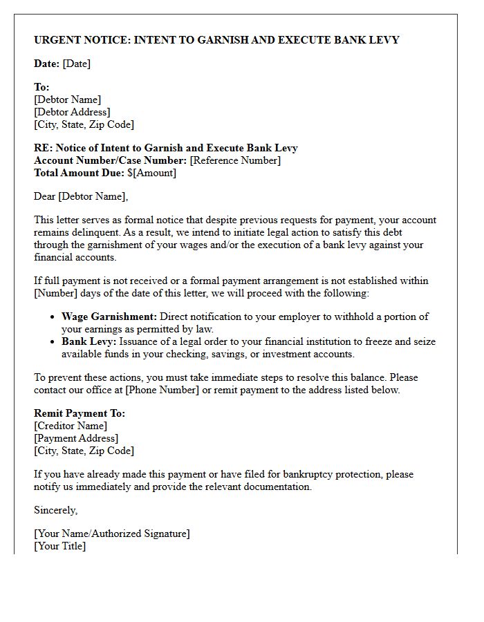 Notice of Intent to Garnish and Execute Bank Levy Letter