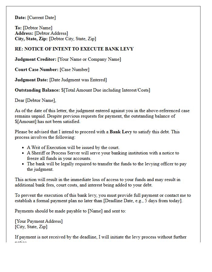 Court Judgment Bank Levy Execution Intent Letter