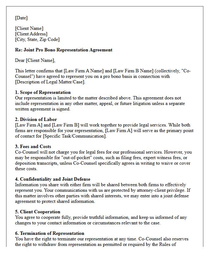 Joint Co-Counsel Pro Bono Engagement Letter